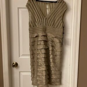 Adrianna Papell Shimmer Net Dress